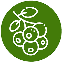 icon bleut