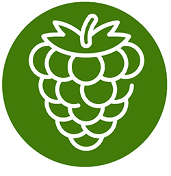 icon framboises