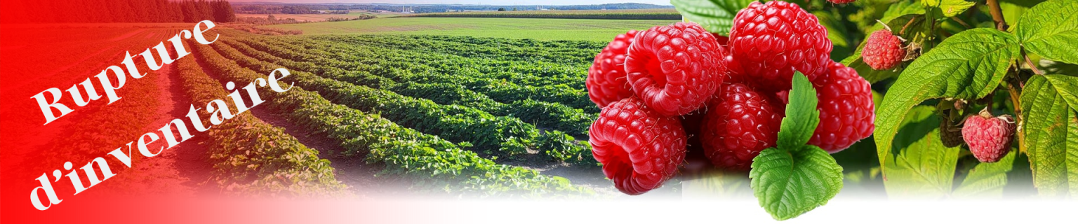 framboise245